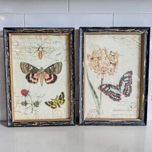 Vintage Style Butterfly & Insects Floral Garden Room Wall Art Decor, Set of 2